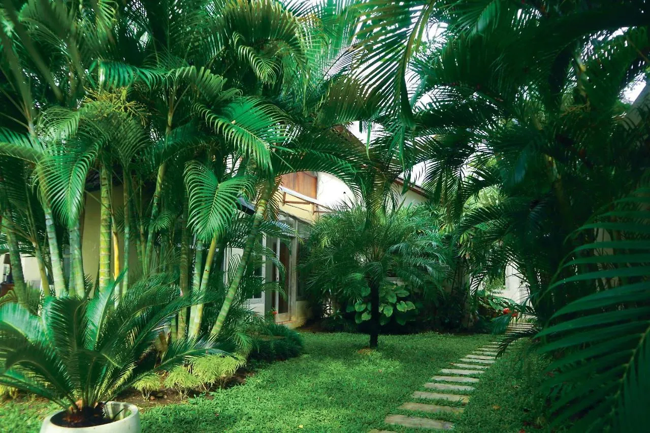 Villa Coconut Bali Seminyak