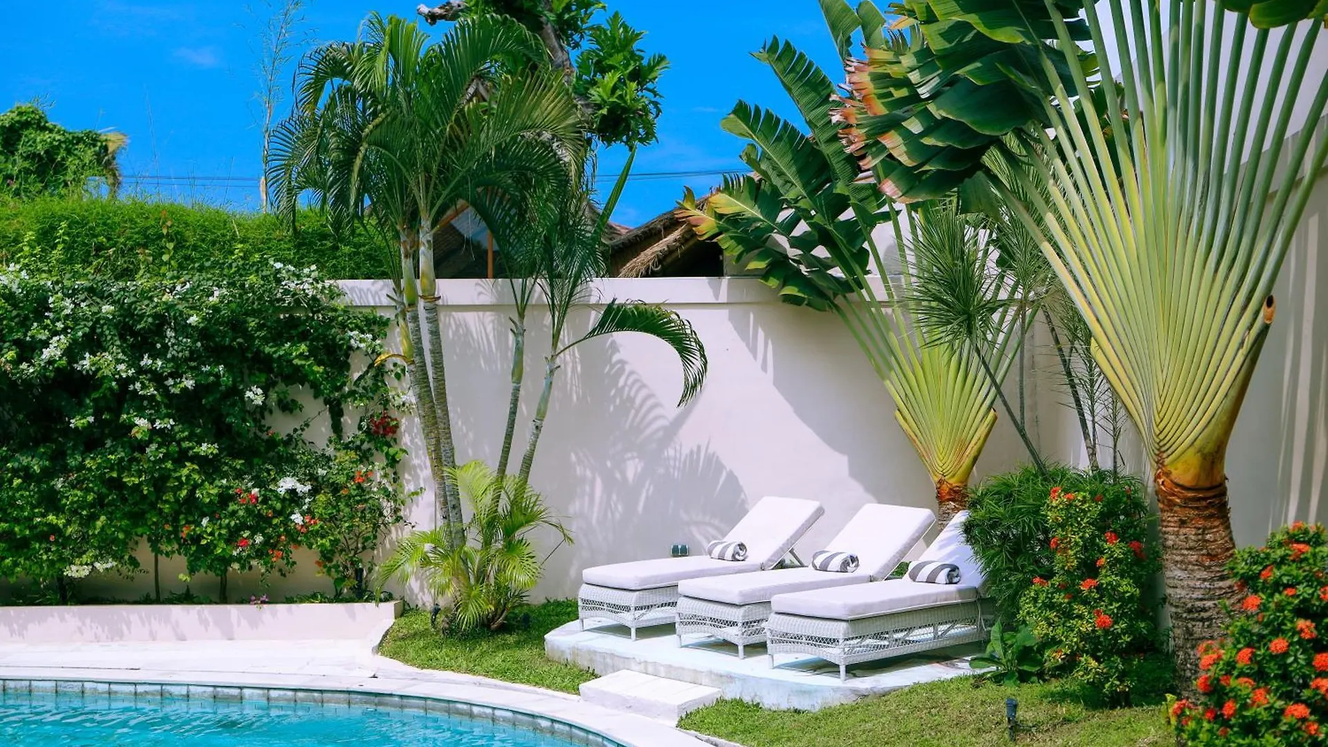 Villa Coconut Bali Seminyak